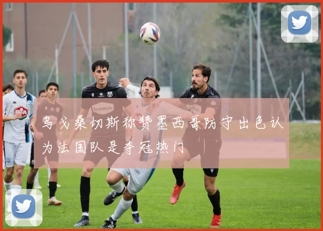 乌戈桑切斯称赞墨西哥防守出色认为法国队是夺冠热门