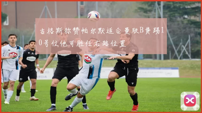 吉格斯称赞帕尔默适合曼联B费踢10号位他可胜任右路位置